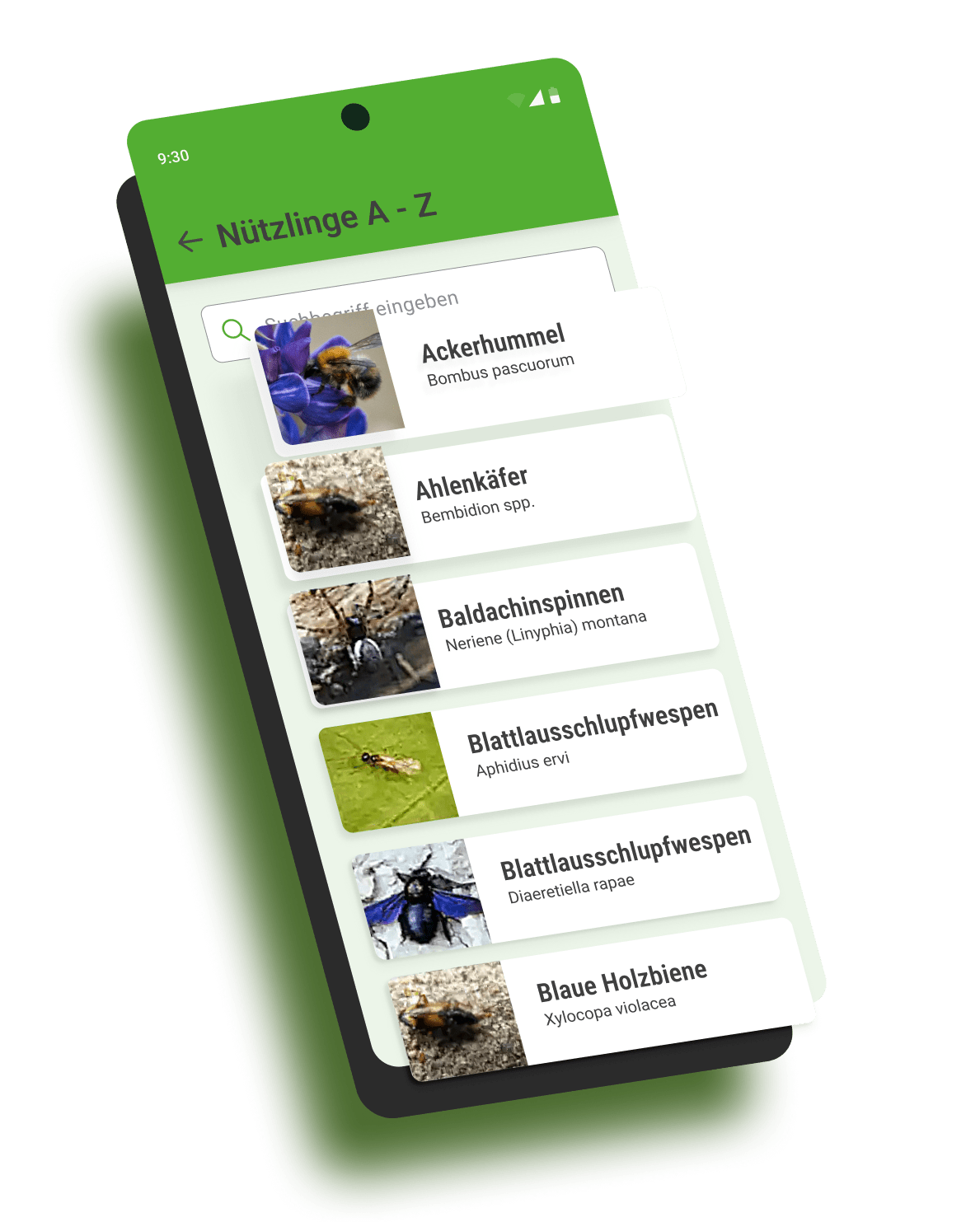 Ein Wireframe einer Android-App, das den Design- und Prototyping-Prozess bei Cayas Software illustriert.